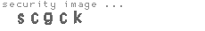security image