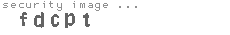 security image