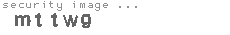 security image