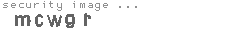 security image