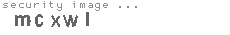 security image