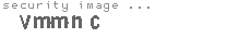 security image