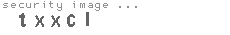 security image