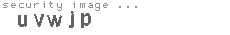 security image