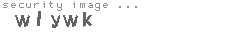 security image