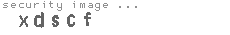 security image