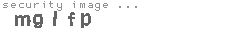 security image