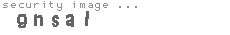 security image