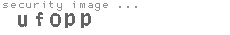 security image