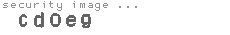 security image