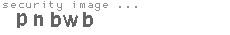 security image