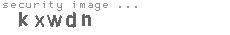security image