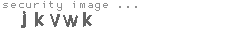 security image