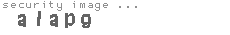 security image